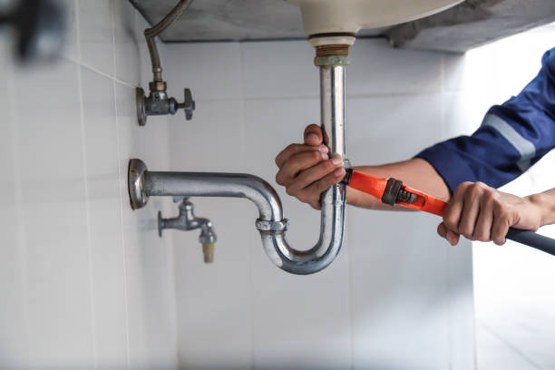 Best Green Plumbing Solutions in Roscoe, IL